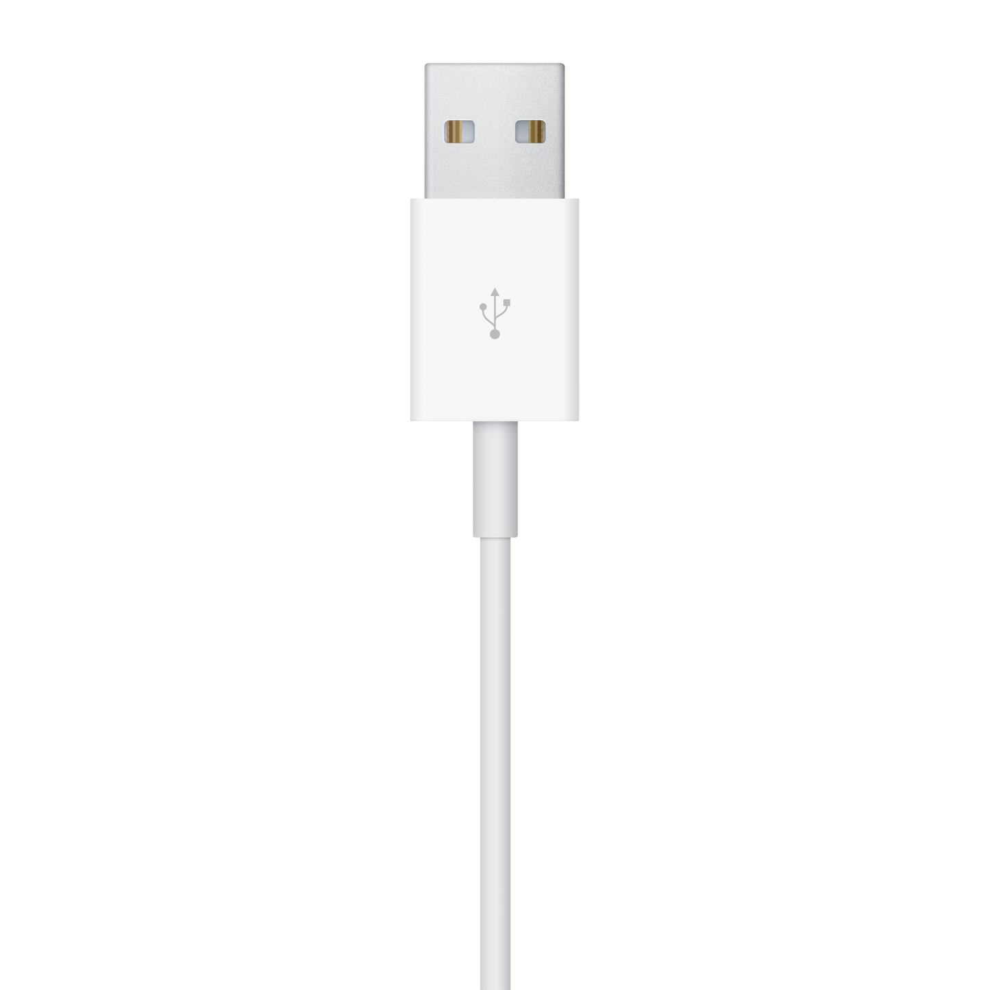 Apple Watch Magnetic Charging Cable (1 m)
