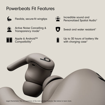 Beats Powerbeats Fit - Gravel Grey